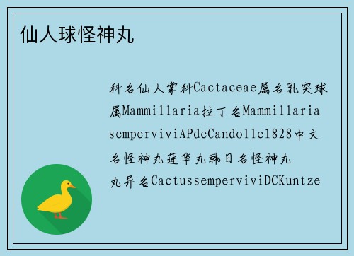 仙人球怪神丸